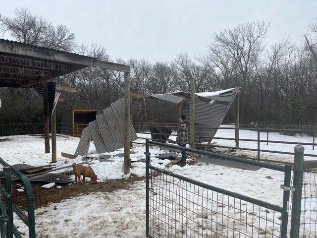 Texas winter storm: Argyle horse therapy company seeks help after roofs damaged