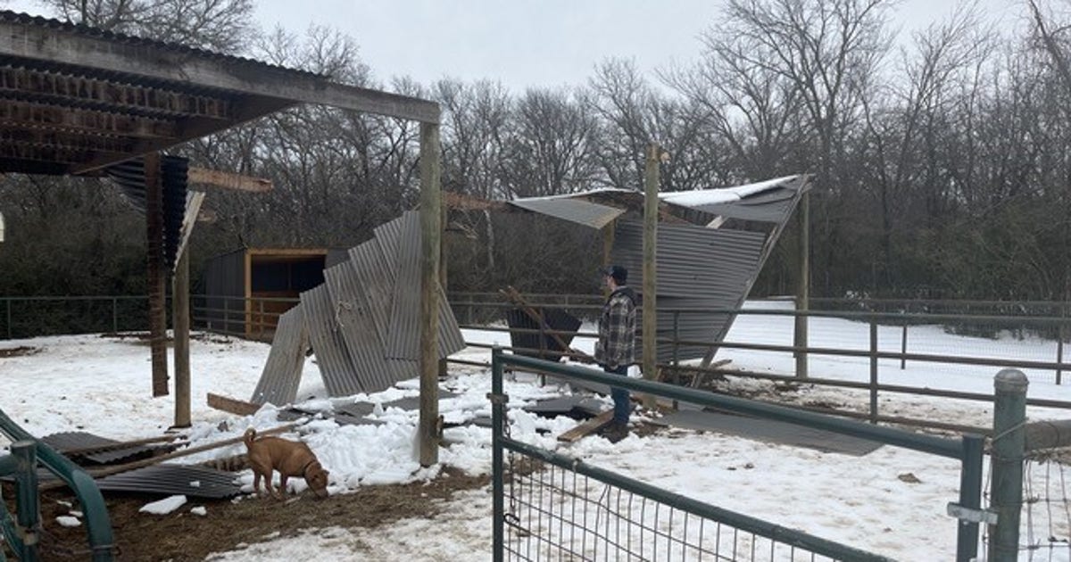 Texas winter storm: Argyle horse therapy company seeks help after roofs damaged