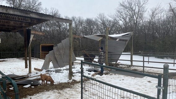 Texas winter storm: Argyle horse therapy company seeks help after roofs damaged
