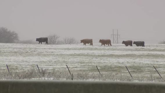 LIVE UPDATES: Ice storm, road conditions, school closings in North Texas