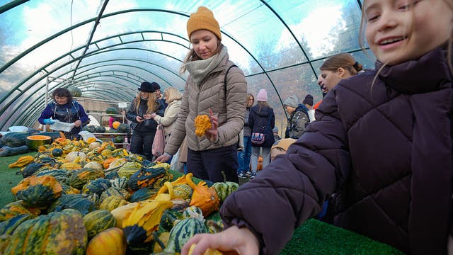 When to plant vegetables in Texas: 2026 frost dates and zone guide