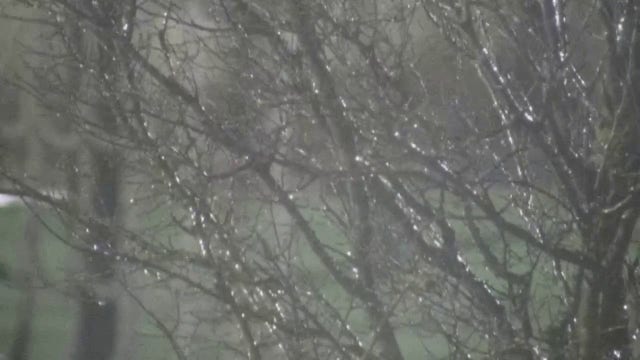 Winter Storm Warning in effect; North Texas braces for record cold