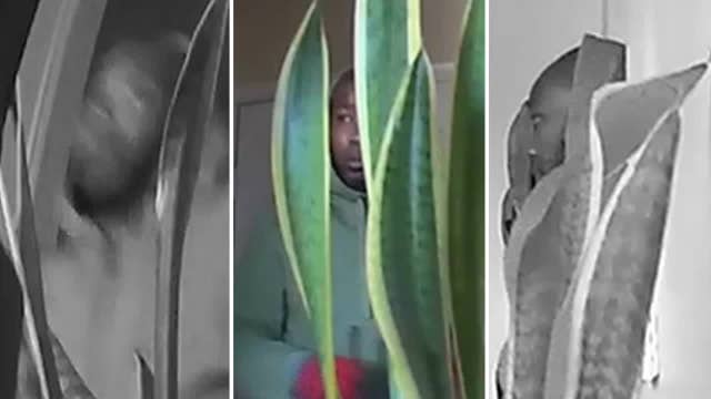 Trackdown: Burglar targets senior citizens in Mesquite