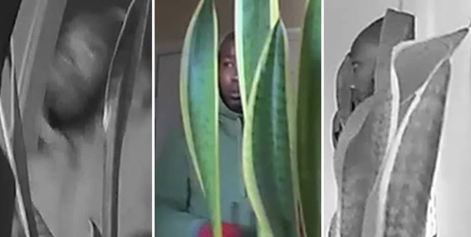 Trackdown: Burglar targets senior citizens in Mesquite