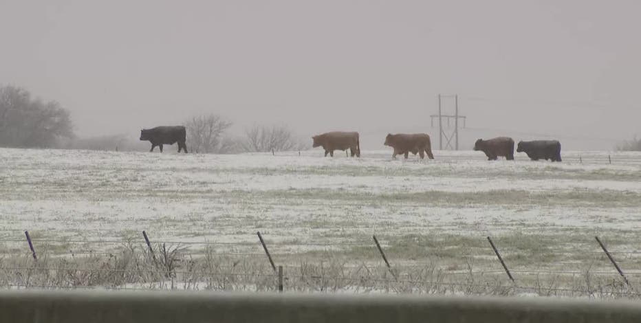 LIVE UPDATES: Ice storm, road conditions, school closings in North Texas