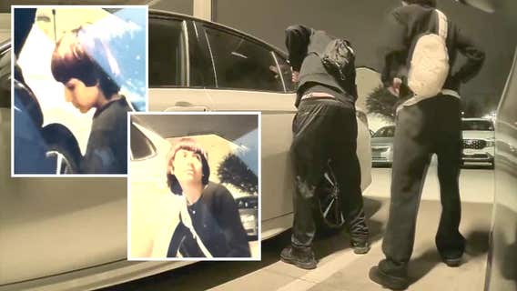 Trackdown: Bishop Arts residents plagued by vehicle break-ins