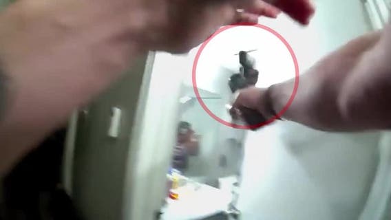 Dallas police release video of shooting that injured 3, including officer and grandmother