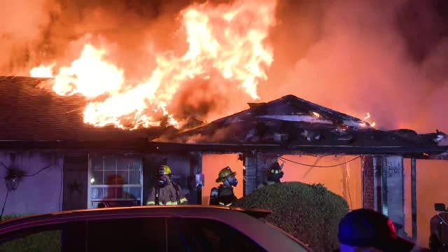Duncanville homeowner fears pets lost after early morning fire destroys home