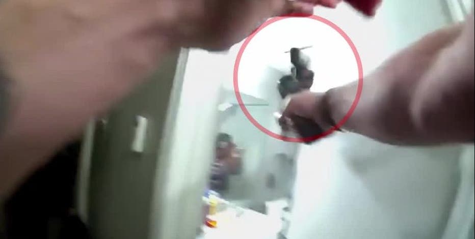 Dallas police release video of shooting that injured 3, including officer and grandmother