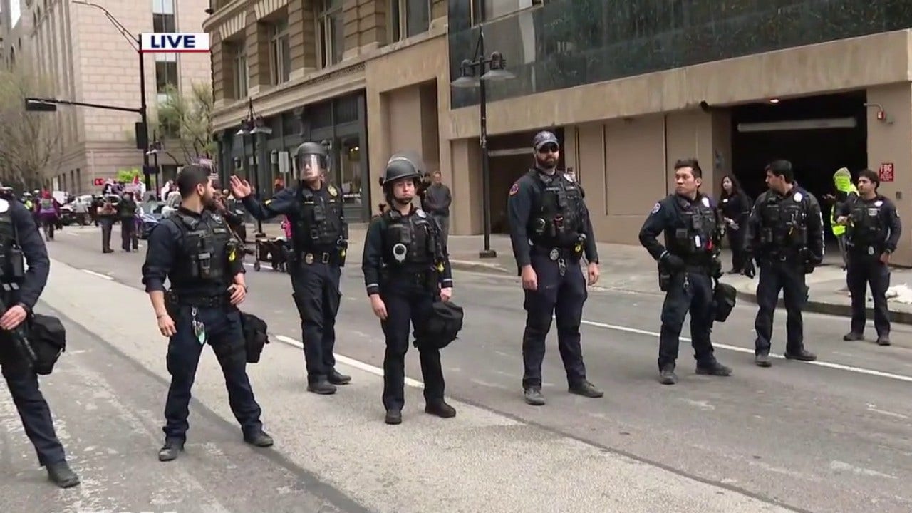 Protestors clash at Dallas 'No Kings' march