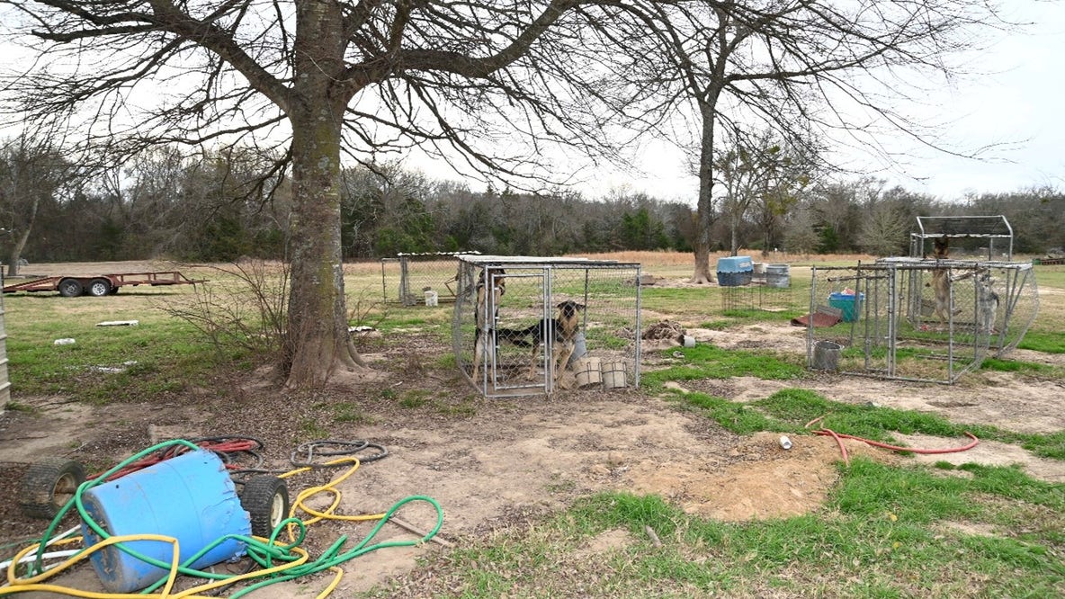 Hopkins County woman indicted for running unlicensed German Shepherd breeding facility