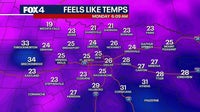 Dallas Weather: North Texas forecast 40-degree temperature swing; 'Extreme' pollen alert