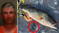 Angler arrested after getting caught cheating during North Texas fishing tournament