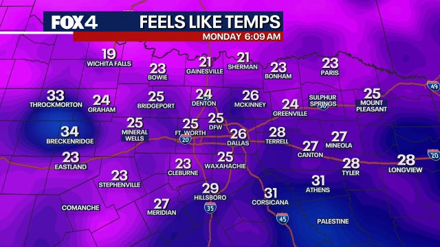 Dallas Weather: North Texas forecast 40-degree temperature swing; 'Extreme' pollen alert