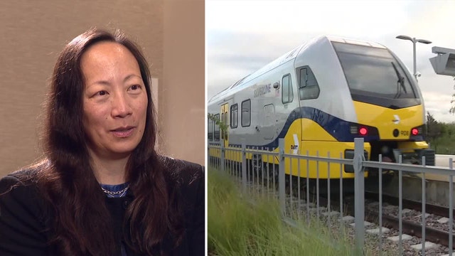 DART CEO cites "political hurdles" after announcing decision to step down