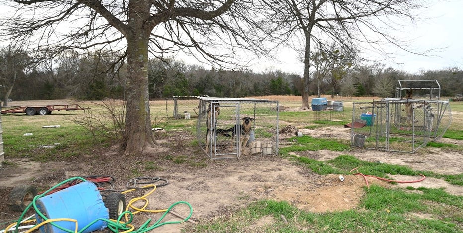 Hopkins County woman indicted for running unlicensed German Shepherd breeding facility