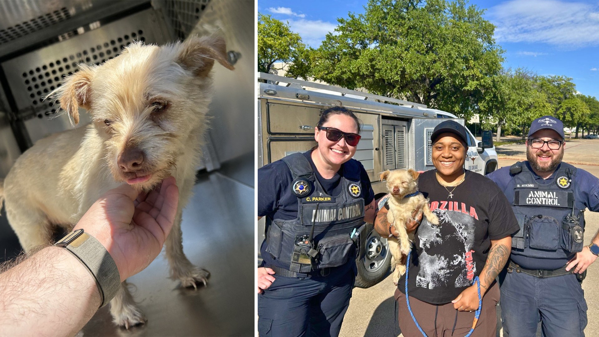 Dog reunited with Irving owner after four years missing