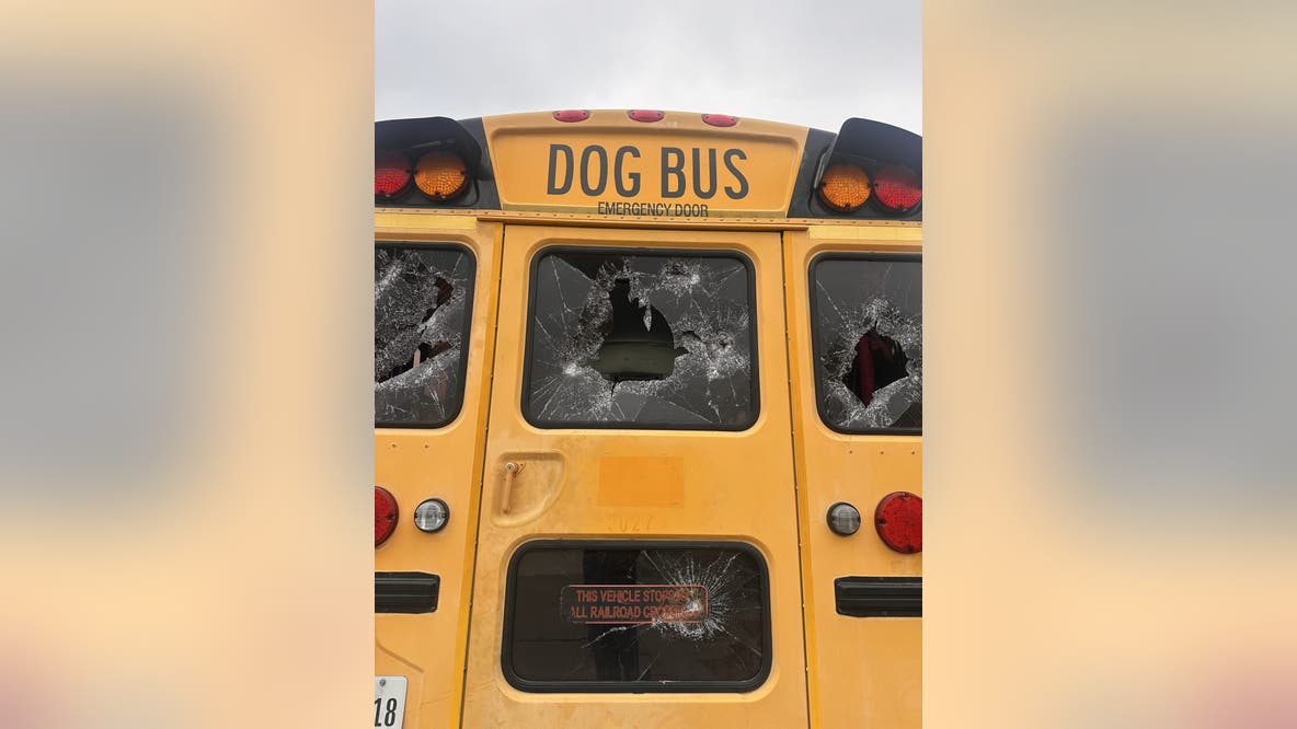 "Adventure Doggy Bus" in The Colony vandalized