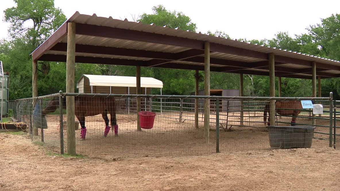 Argyle horse therapy company rebuilt for spring lessons after winter storm damage