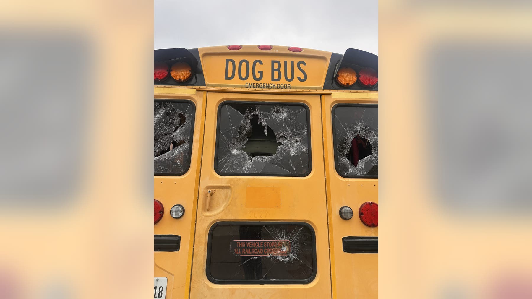 "Adventure Doggy Bus" in The Colony vandalized