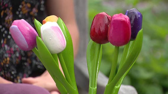 FIFA World Cup: Dallas Arboretum pays tribute to Dutch team with flower displays