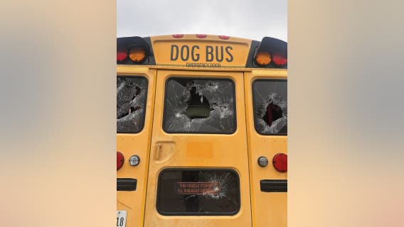 "Adventure Doggy Bus" in The Colony vandalized