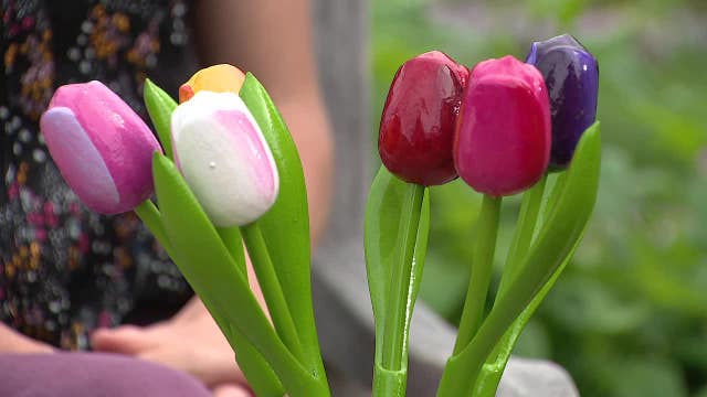 FIFA World Cup: Dallas Arboretum pays tribute to Dutch team with flower displays
