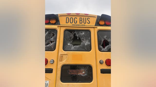 "Adventure Doggy Bus" in The Colony vandalized