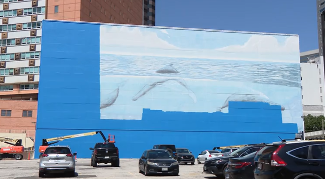 Dallas replacing Whaling Wall gifted by conservationist with FIFA World Cup mural