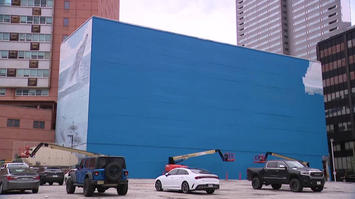Dallas whaling wall artist sues FIFA for $25 million after mural covered