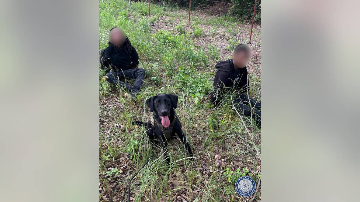 Armed robbery suspects captured in Van Zandt County after multi-agency manhunt