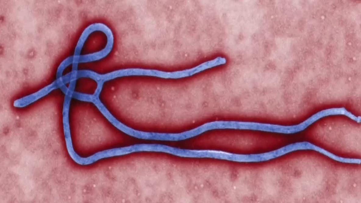 Officials monitoring World Cup health risks including Ebola, hantavirus