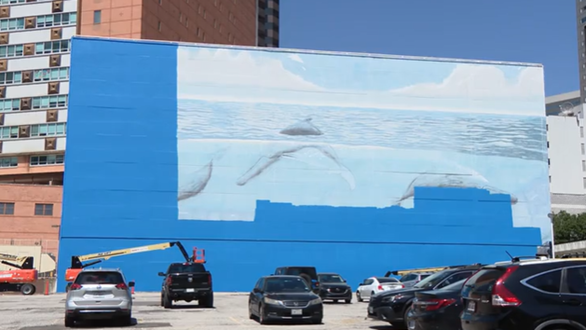 Dallas replacing Whaling Wall gifted by conservationist with FIFA World Cup mural