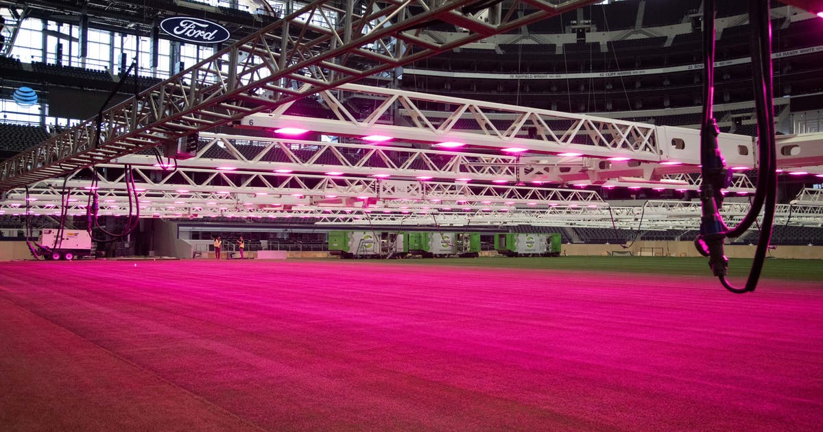 FIFA World Cup: Organizers unveil pitch to be used during matches at AT&T Stadium