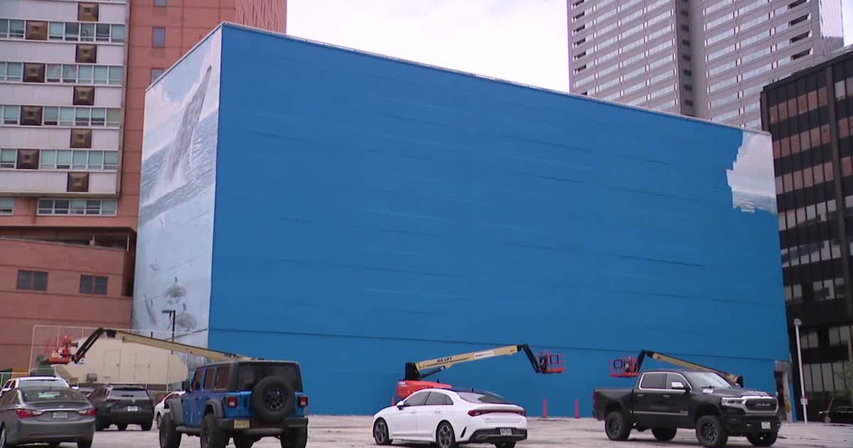 Dallas whaling wall artist sues FIFA for $25 million after mural ...