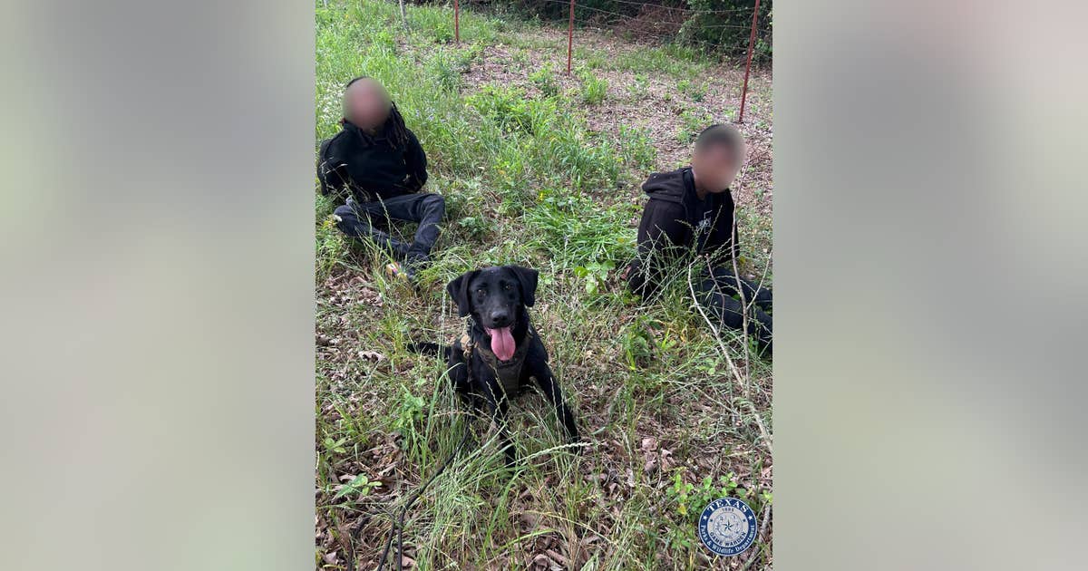 Armed robbery suspects captured in Van Zandt County after multi-agency manhunt