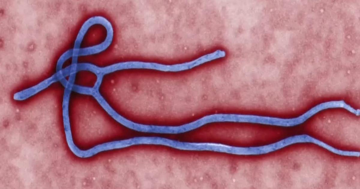 Officials monitoring World Cup health risks including Ebola, hantavirus