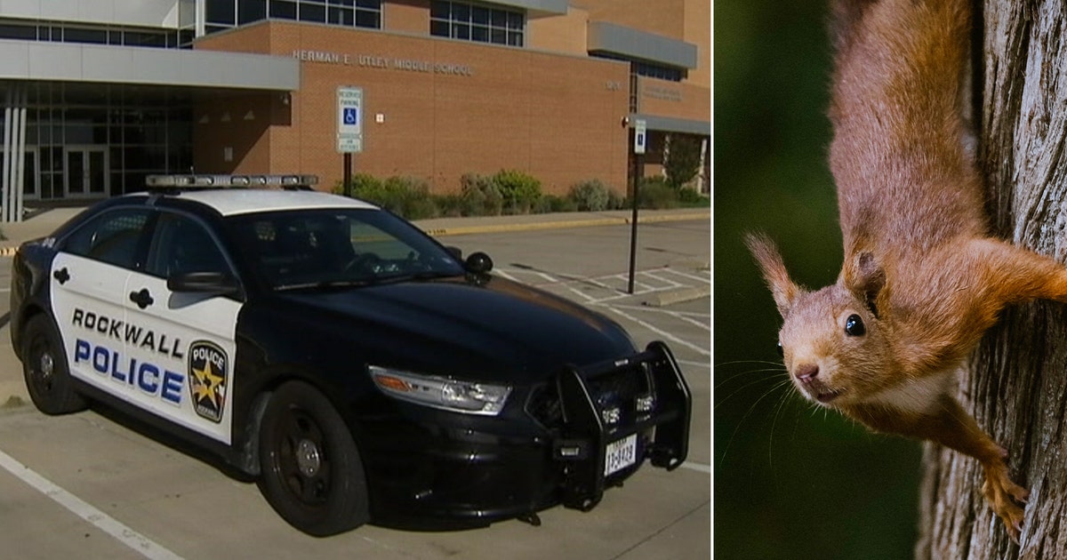Rockwall squirrel shooter causes elementary school lockdown