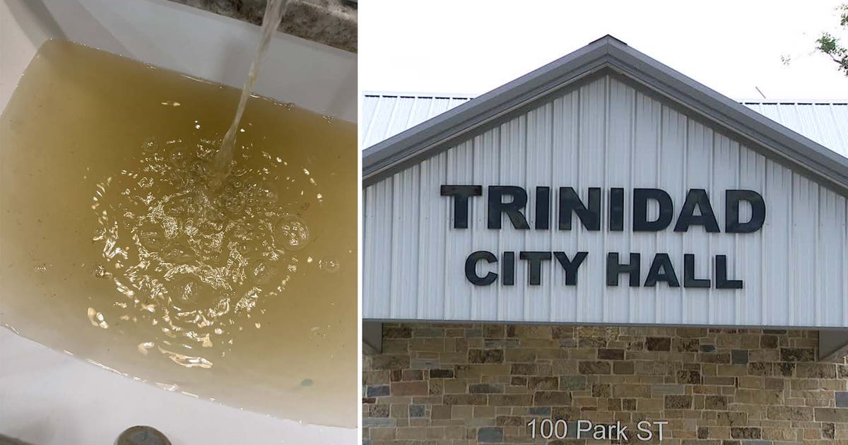 Trinidad City Council fires municipal judge who dropped charge against police protestor