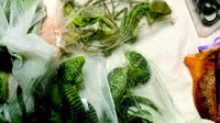 California man sentenced to 5+ years for smuggling 1,700 reptiles through El Paso border
