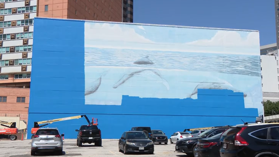 Dallas replacing Whaling Wall gifted by conservationist with FIFA World Cup mural