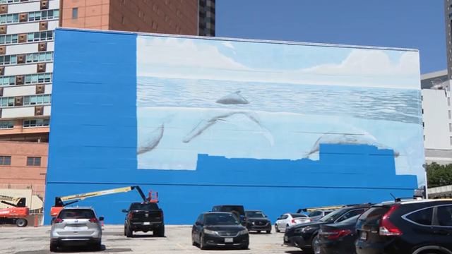 Dallas replacing Whaling Wall gifted by conservationist with FIFA World Cup mural