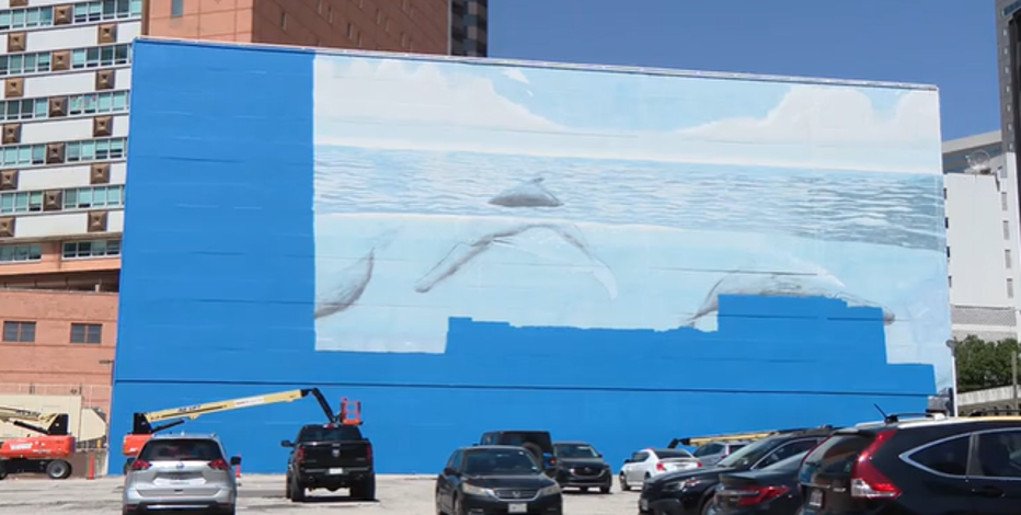 Dallas replacing Whaling Wall gifted by conservationist with FIFA World Cup mural