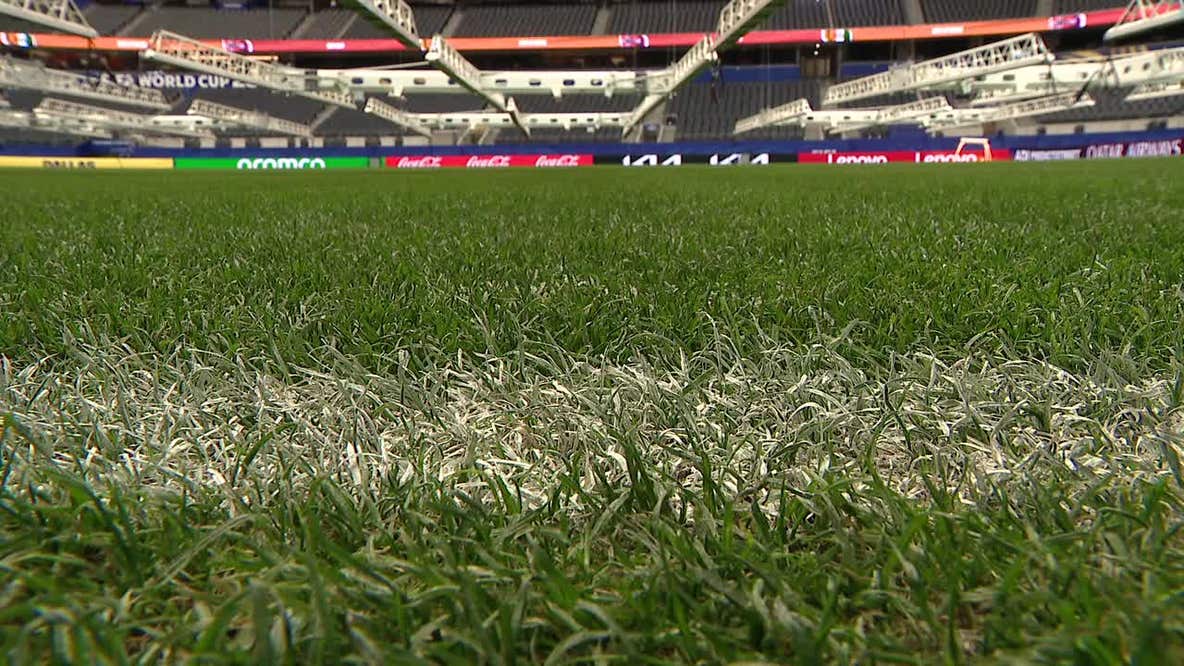 How crews keep Dallas Stadium's indoor grass at an elite level