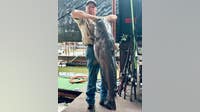 Angler reels in massive 75-pound catfish at Lake Texoma over Memorial Day weekend