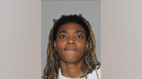 Woman arrested after string of targeted early-morning shootings at Prosper home