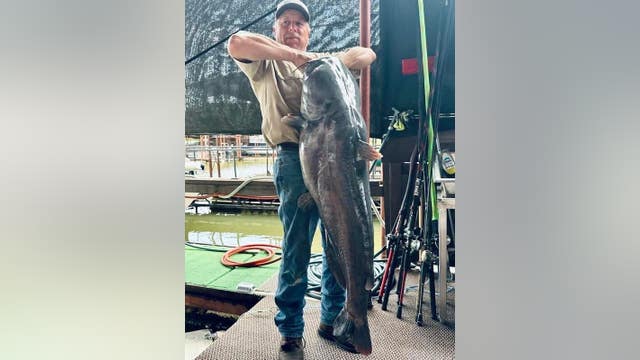 Angler reels in massive 75-pound catfish at Lake Texoma over Memorial Day weekend