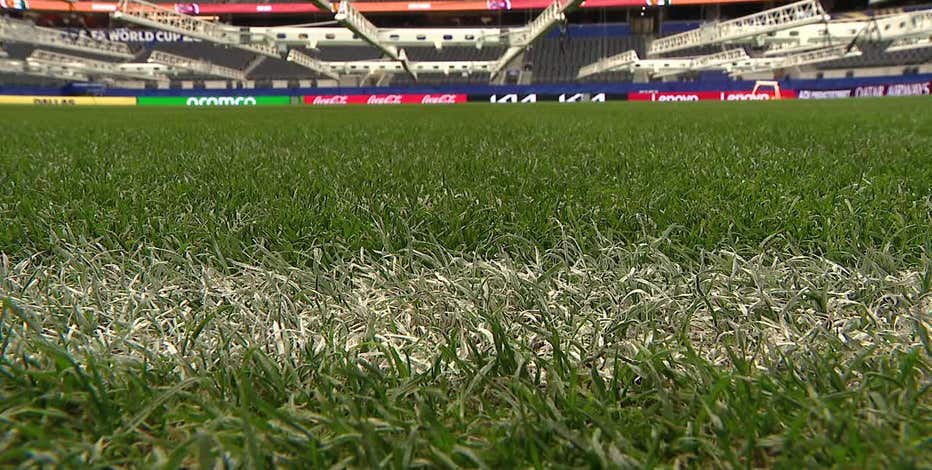 How crews keep Dallas Stadium's indoor grass at an elite level