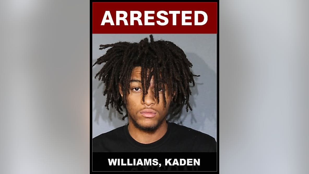 DeSoto police arrest 19-year-old following roadside struggle and discovery of modified handguns