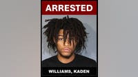 DeSoto police arrest 19-year-old following roadside struggle and discovery of modified handguns